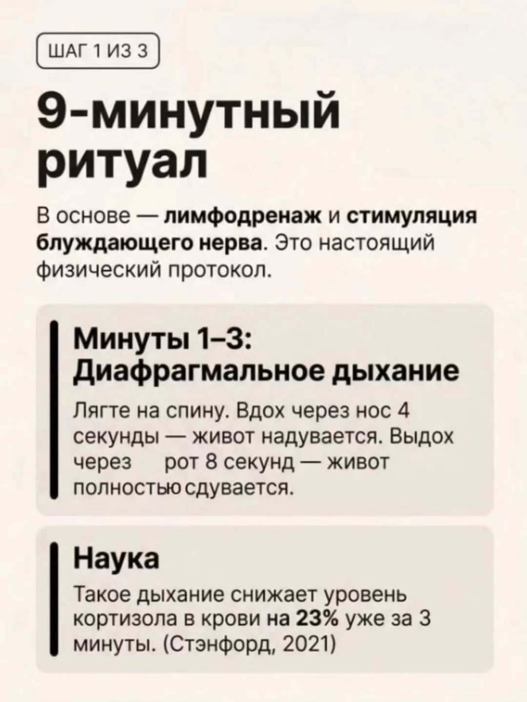 Ваш живот — это не жир, это склад гормонов стресса