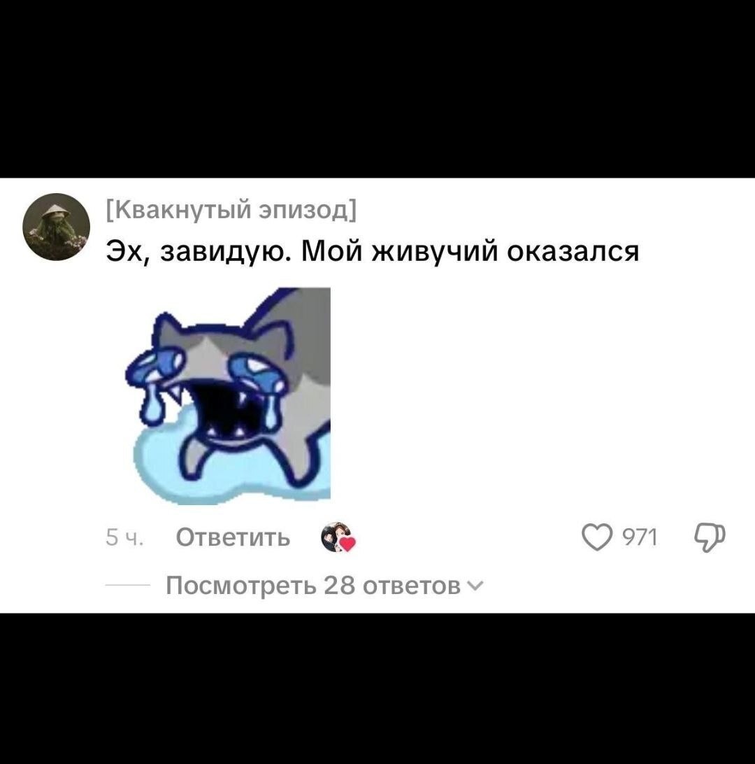 «Завидую, мне бы так»: девочка снимает видео где радостно заявляет, что ждёт 15 миллионов за гибель своего отца на СВО