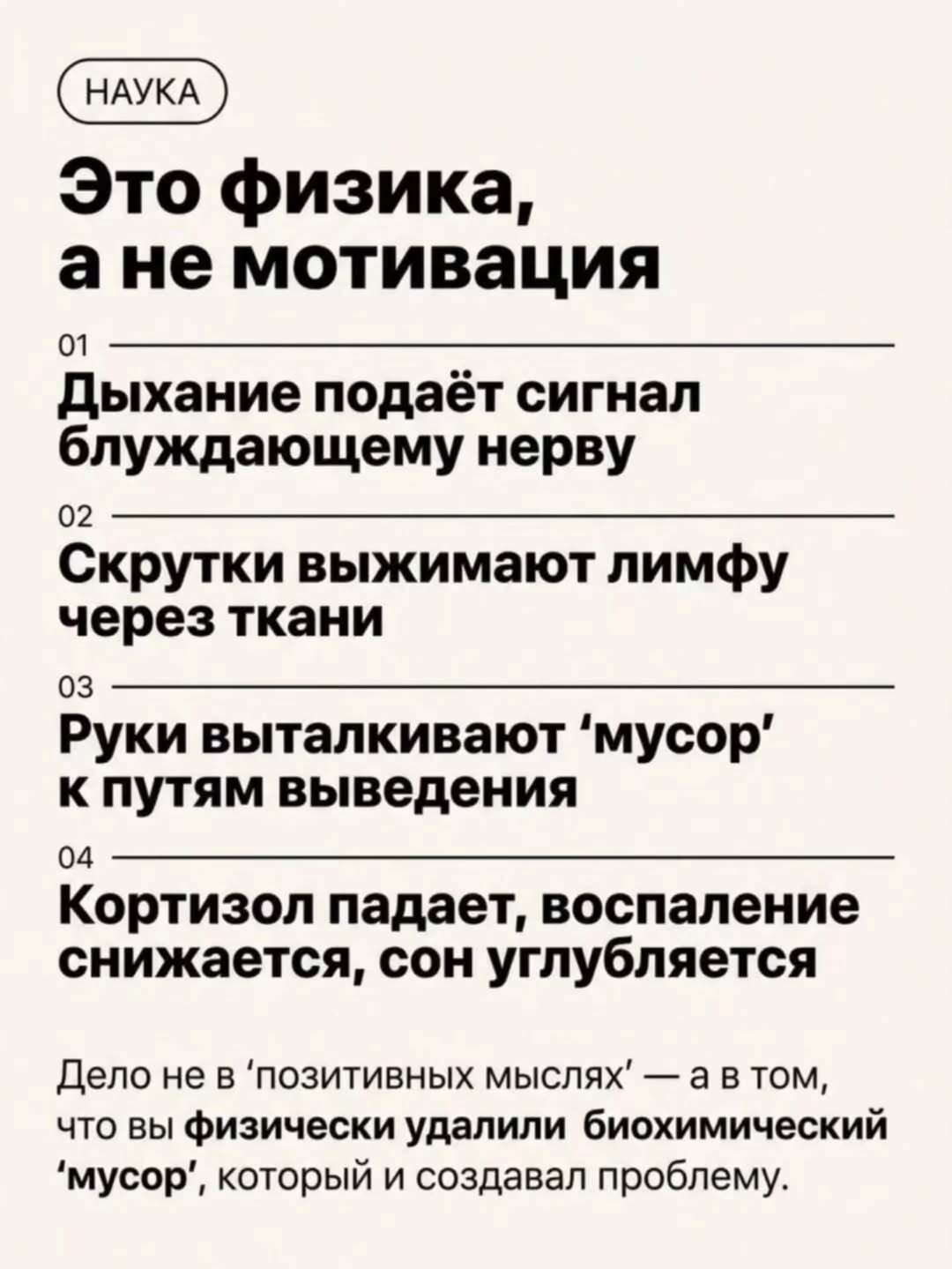 Ваш живот — это не жир, это склад гормонов стресса