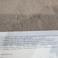 17850430216722808815053199475972.jpg