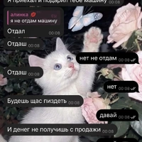 IMG_0767.jpeg
