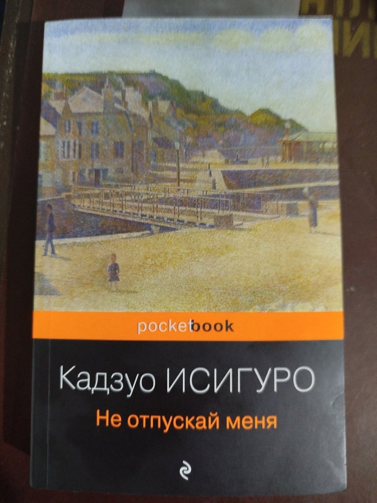 Мой скромный обзор книги, которую читаю сейчас