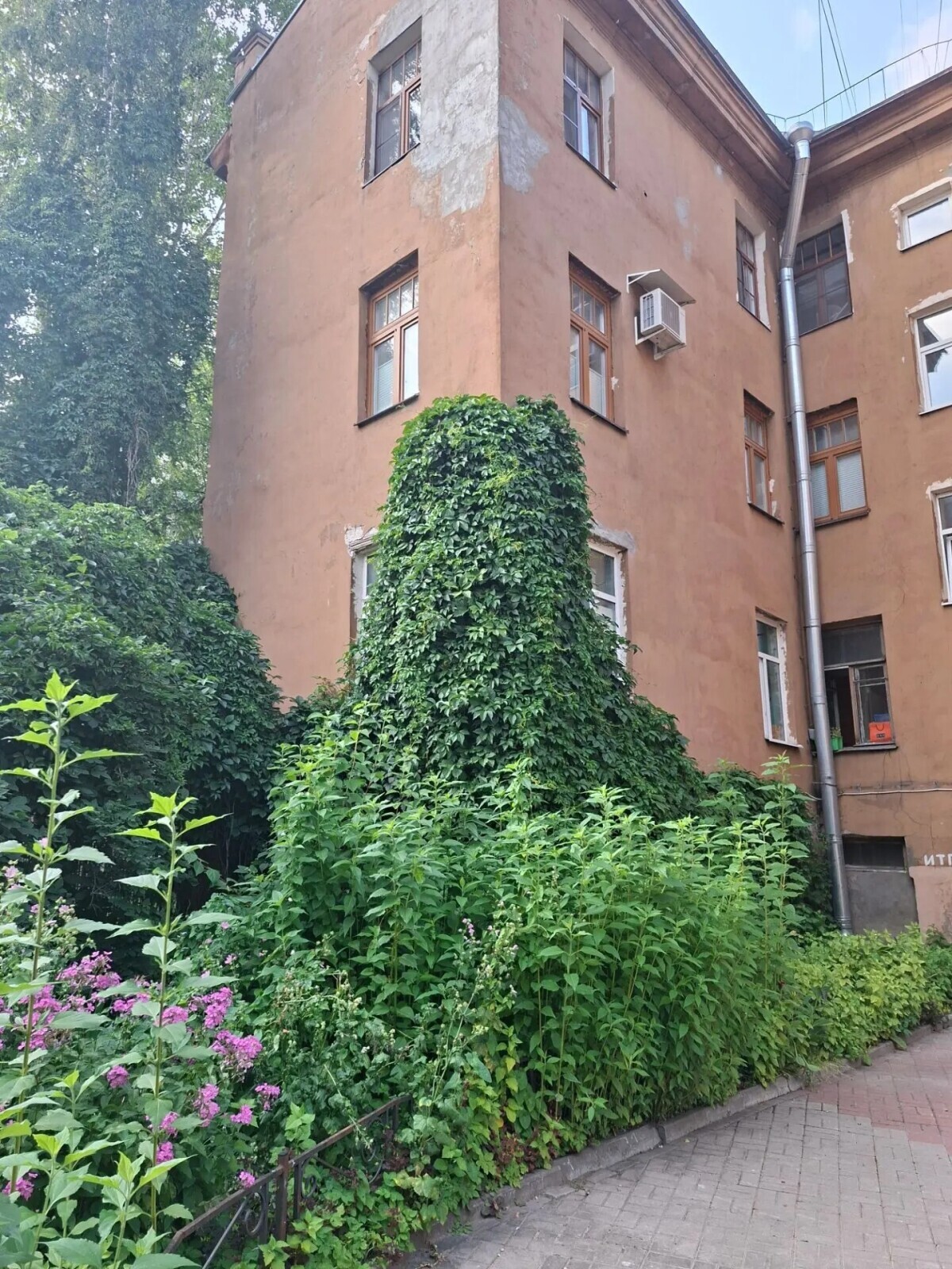 Дворы Петроградской стороны