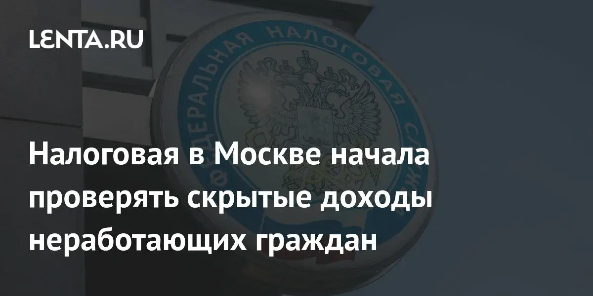 Налоговая инспекция решила проверить доходы