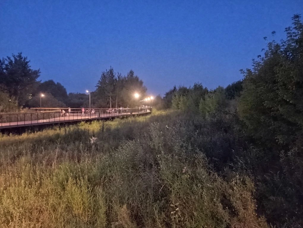 Магия летних вечеров