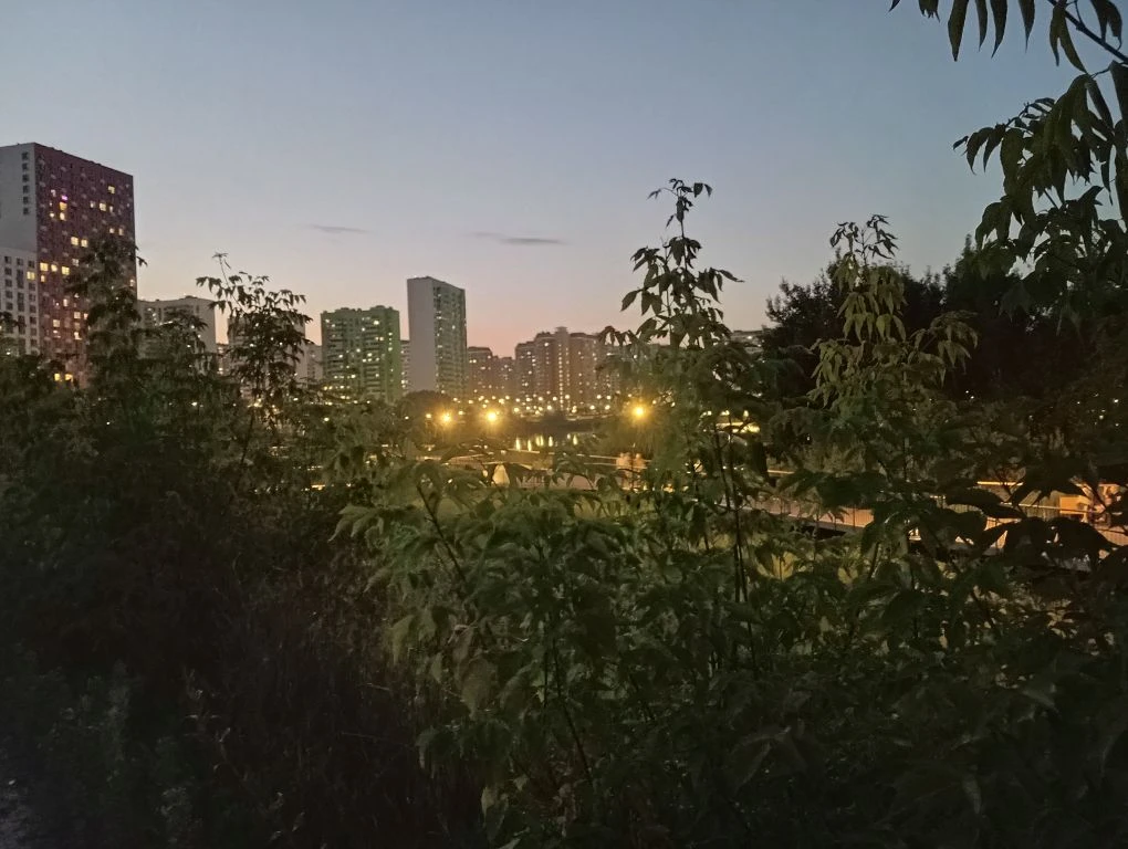 Магия летних вечеров