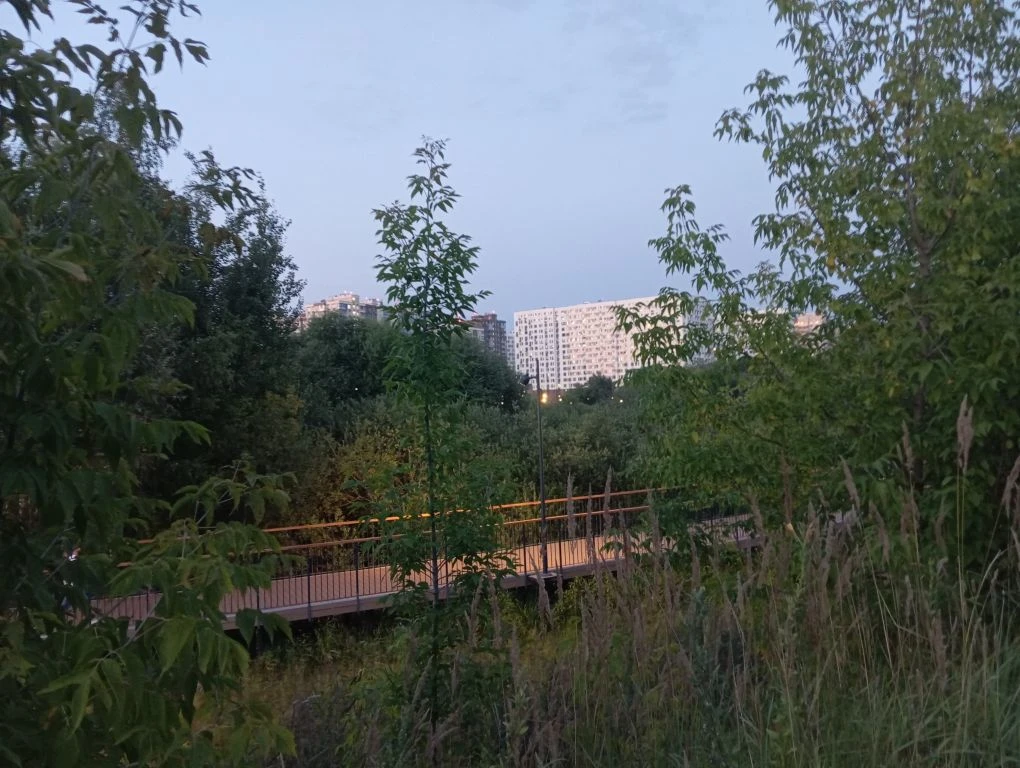 Магия летних вечеров