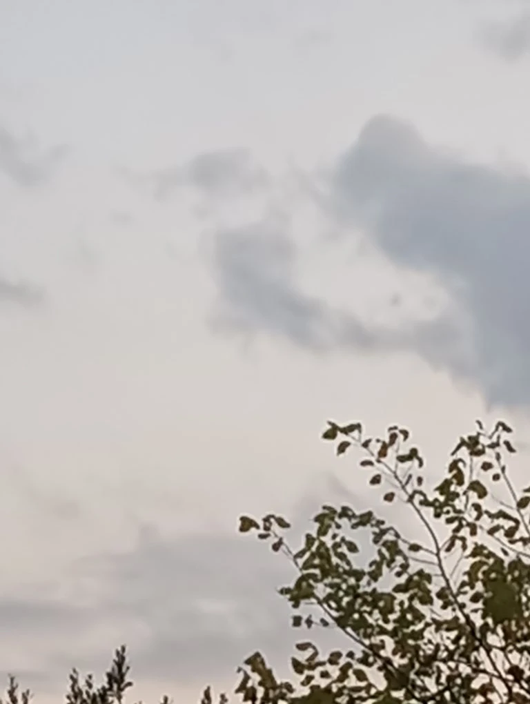 Собака на небе, пускай бледная, но всё-таки собака