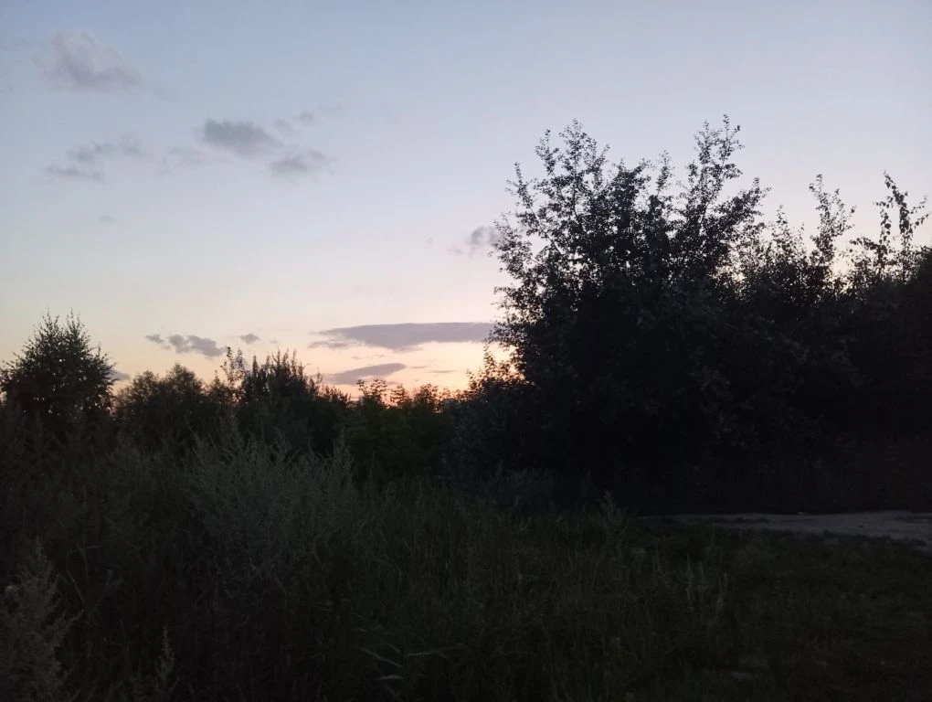 Магия летних вечеров