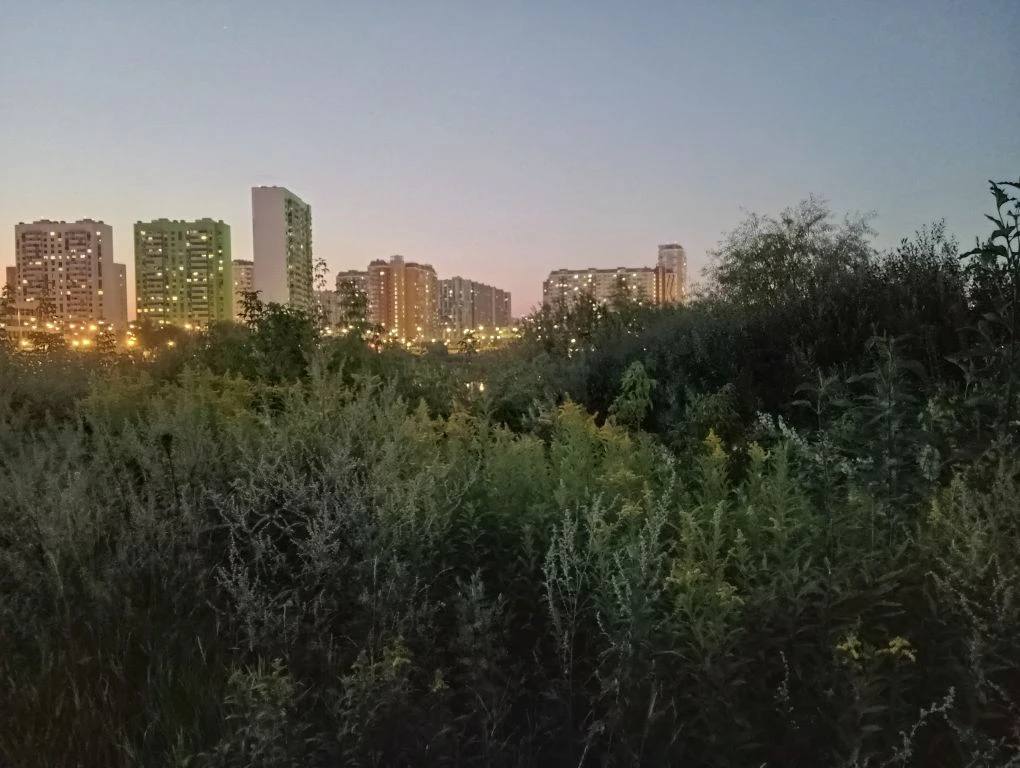 Магия летних вечеров