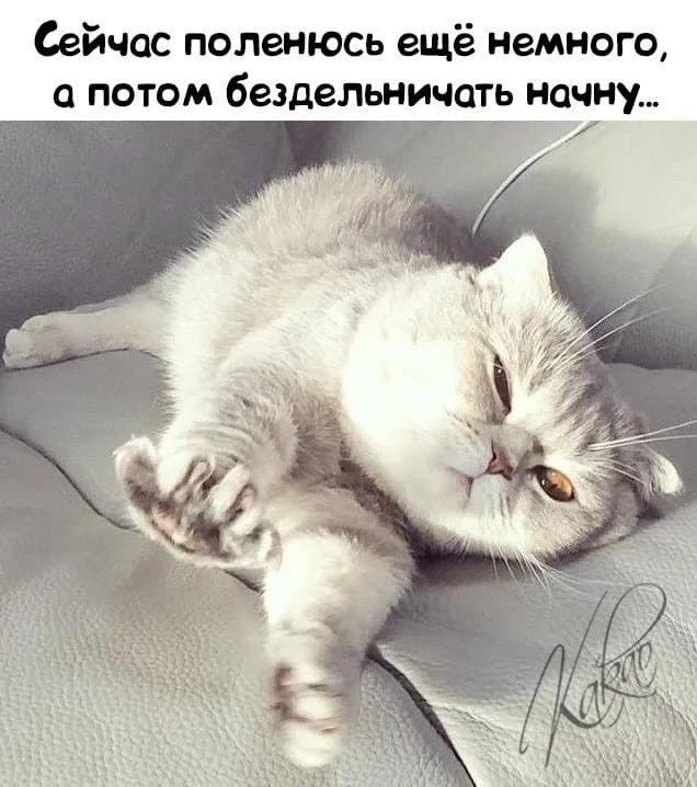 Лень как витамин: почему «успешный успех» довел россиян до ручки и как теперь официально лежать на диване
