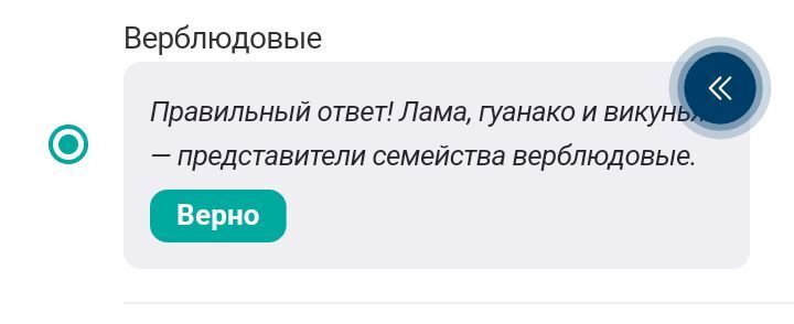 Отвечаю на вопросы Викторины в приложении «Активный гражданин» «Московский зоопарк онлайн: лама, гуанако и викунья», правильные ответы