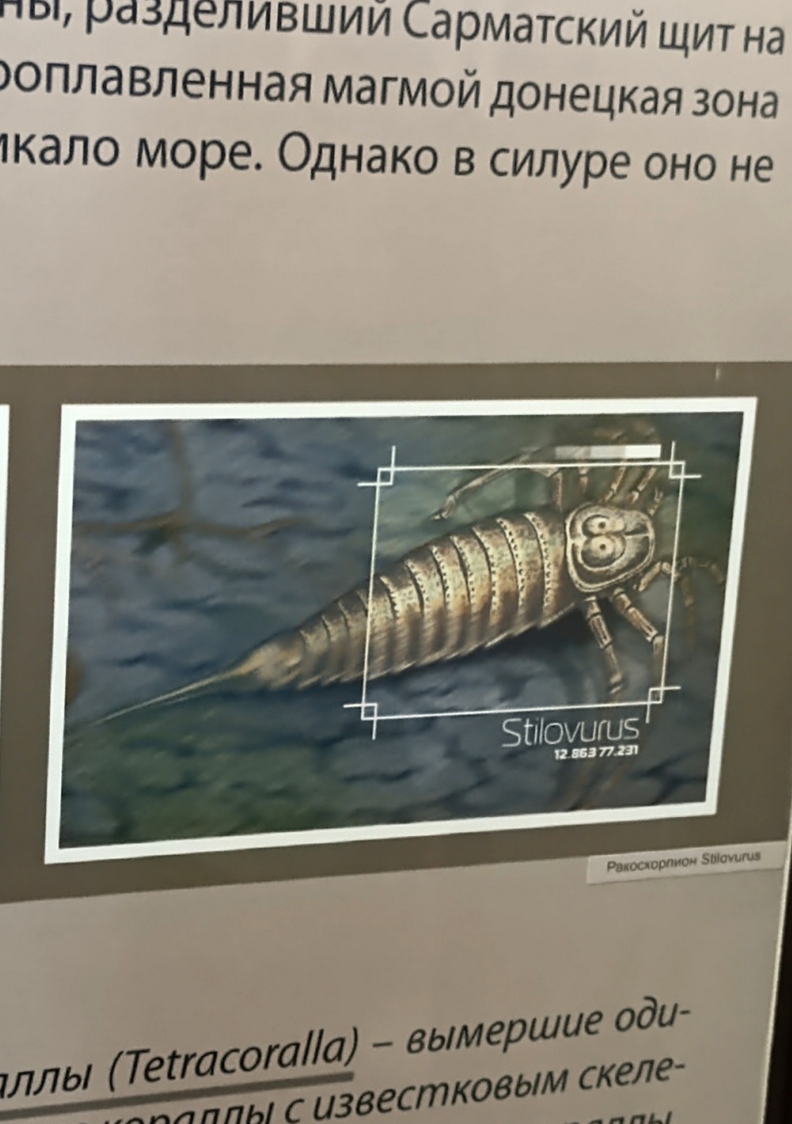 Палеонтология в картинках