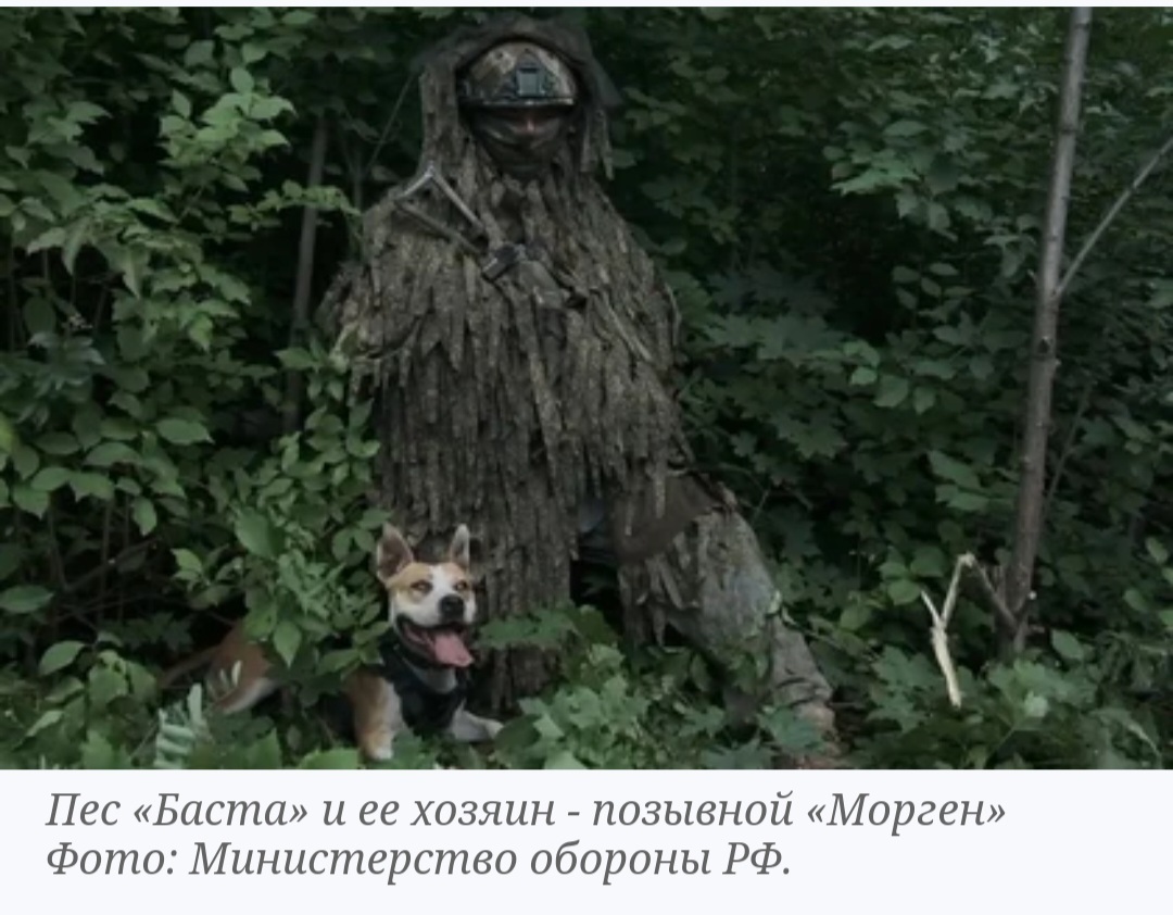 Впереди штурмовиков в село Торское шел служебный пес «Баста»