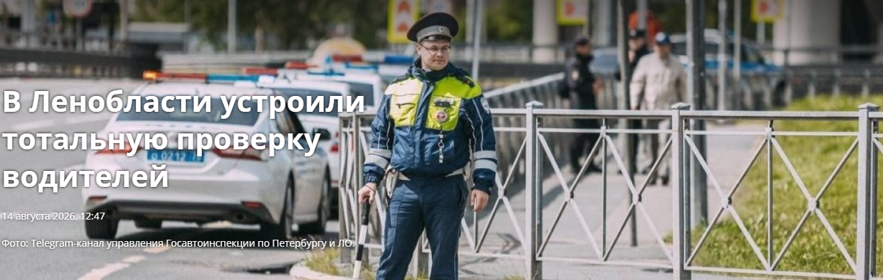Во Всеволожском районе Ленинградской области прошел масштабный рейд полиции