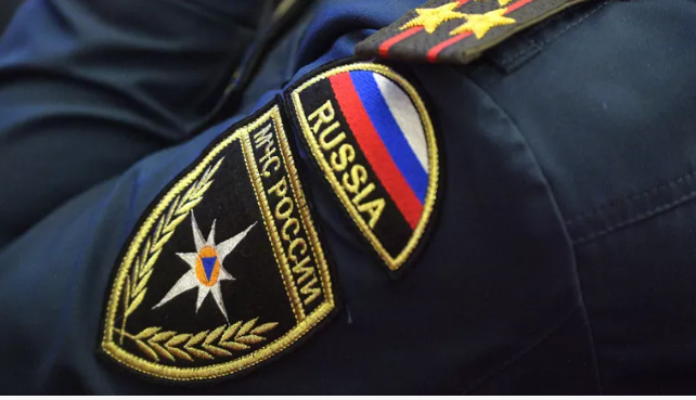 Медведи в России совсем распоясались...