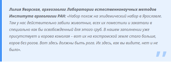 Зачем костромичи спрятали тысячи костей в Мелочных рядах – гадают археологи