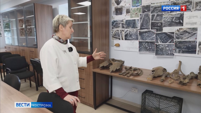 Зачем костромичи спрятали тысячи костей в Мелочных рядах – гадают археологи