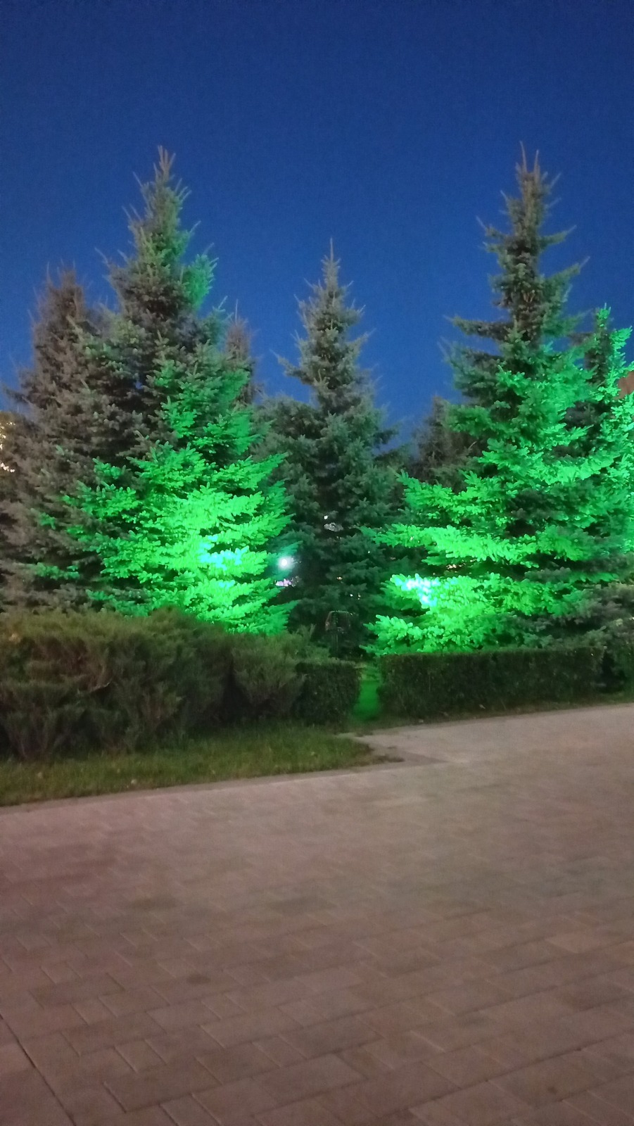 Ночной Смоленск, немного фоточек нашего ночного города.