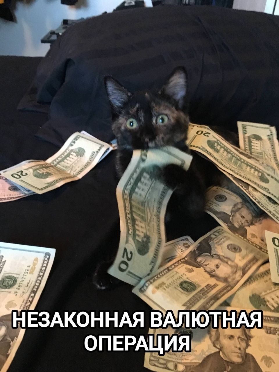 Валютный контроль или ignorantia legis neminem excusat