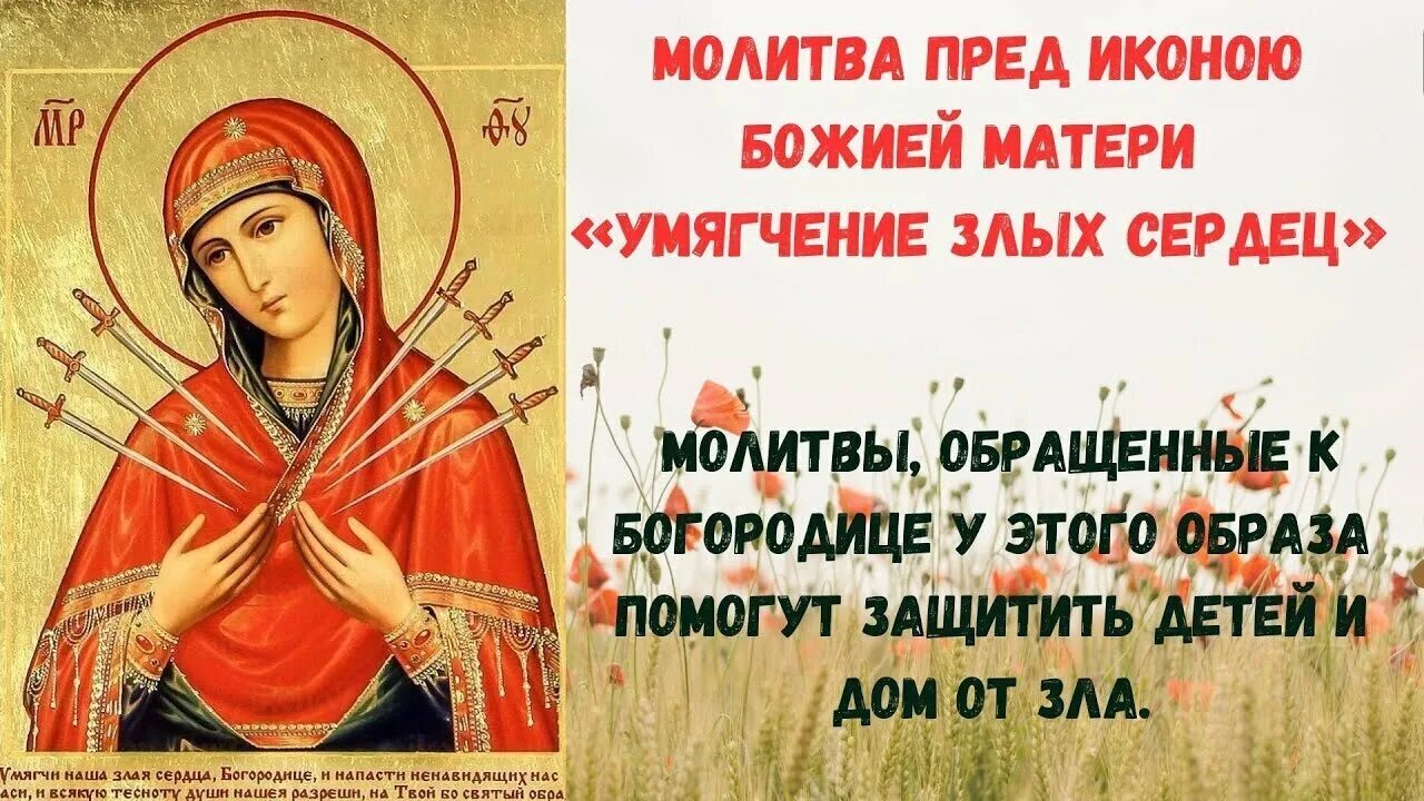 26 августа — это день особого молитвенного обращения к Богородице с просьбой смягчить людские сердца и прекратить вражду.
