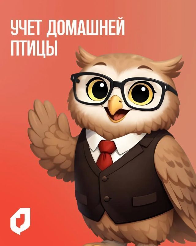 Весёлые картинки про регистрацию кур в МФЦ