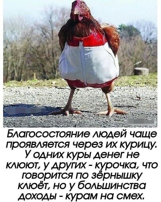 Весёлые картинки про регистрацию кур в МФЦ