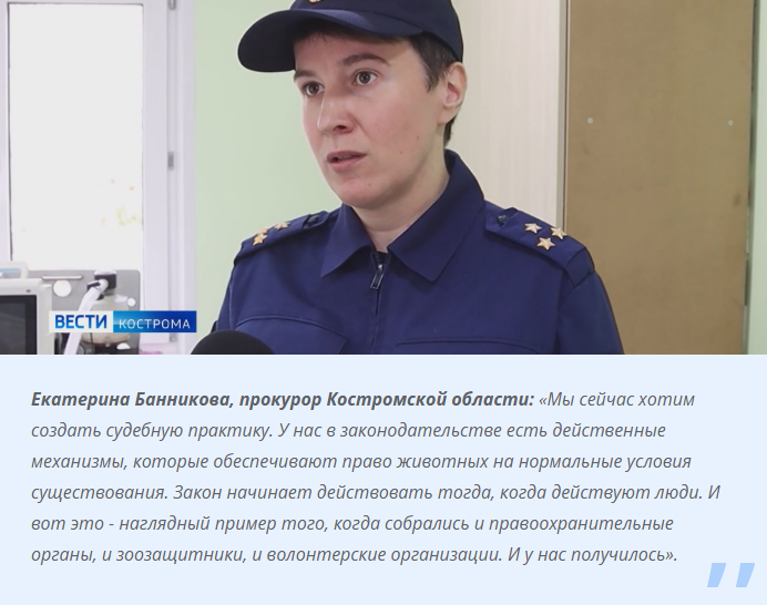 В Костроме ликвидирован кошачий концлагерь