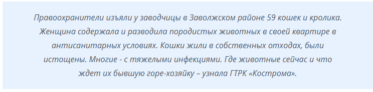 В Костроме ликвидирован кошачий концлагерь