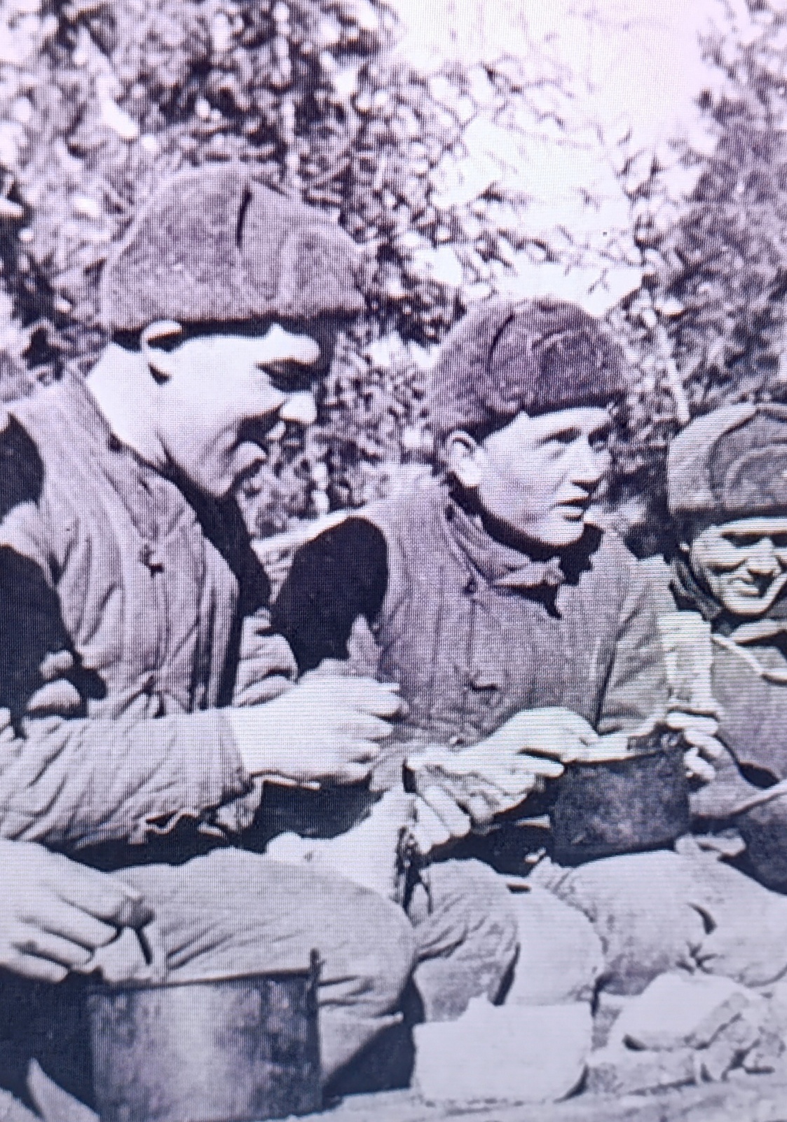 Великая Отечественная война в фотографиях