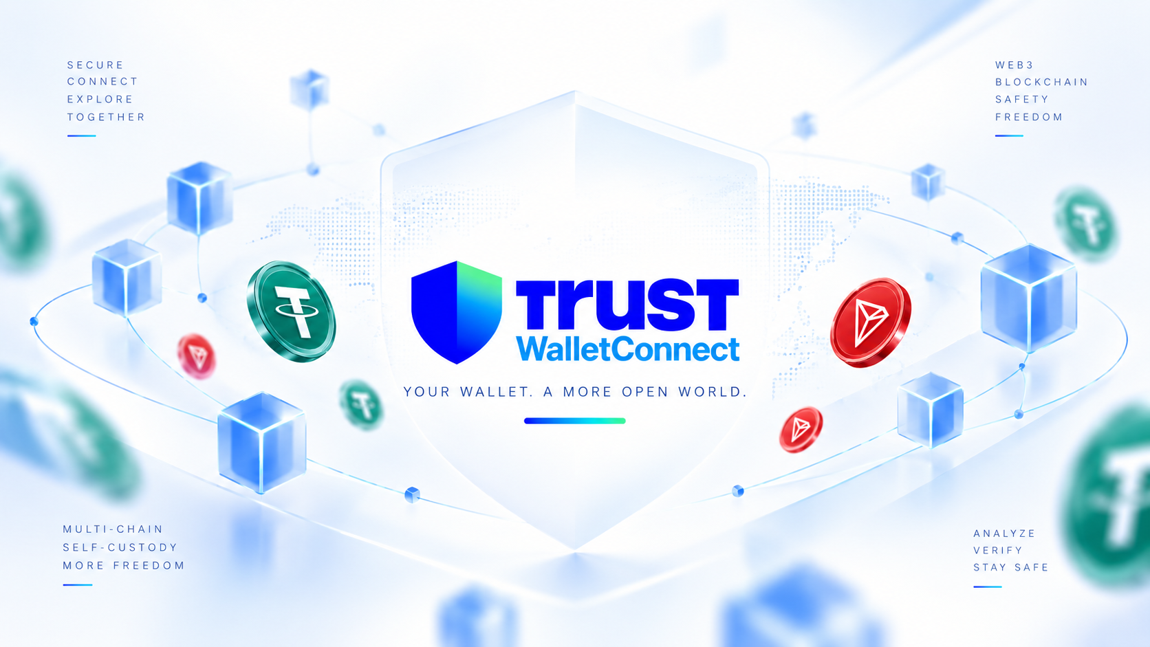 TWS-Connect — обзор сервиса для проверки криптовалюты