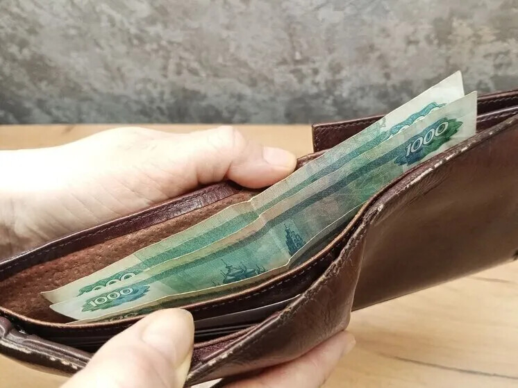 Реальные зарплаты россиян выросли на 6,5 %