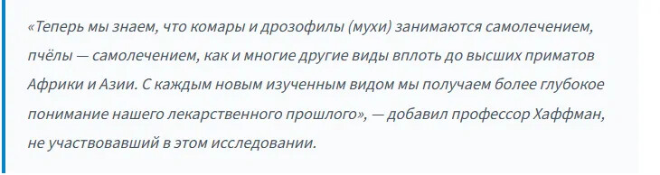 Слоны в Кении лечатся 35 видами растений