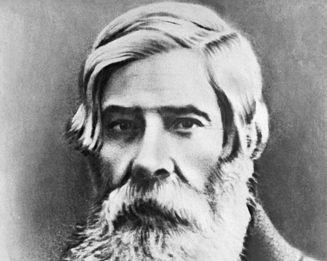 "Верный признак низкого интеллекта"