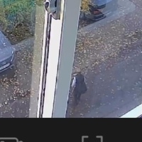 1000043887.jpg